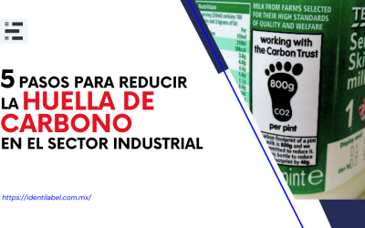 5 Pasos para reducir la huella de carbono en el sector industrial
